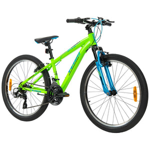 24 Inch Team Mountain Bike In Green And Blue
