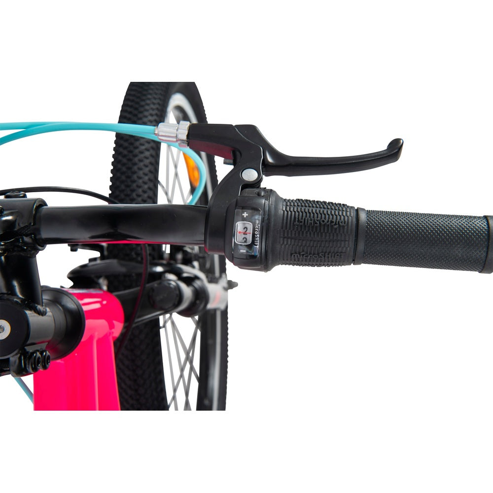 24 Inch Team Mountain Bike In Pink And Sky Blue