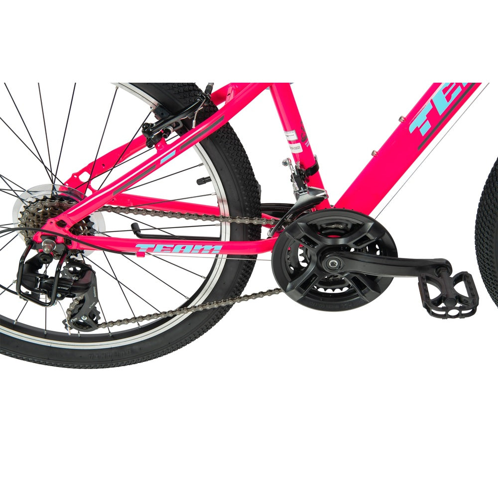 24 Inch Team Mountain Bike In Pink And Sky Blue