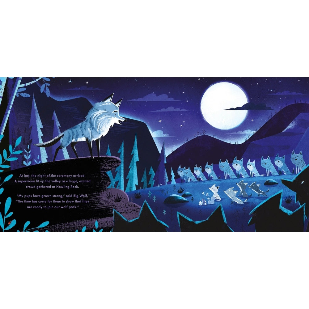Little Wolf Picture Book By Peter Donnelly