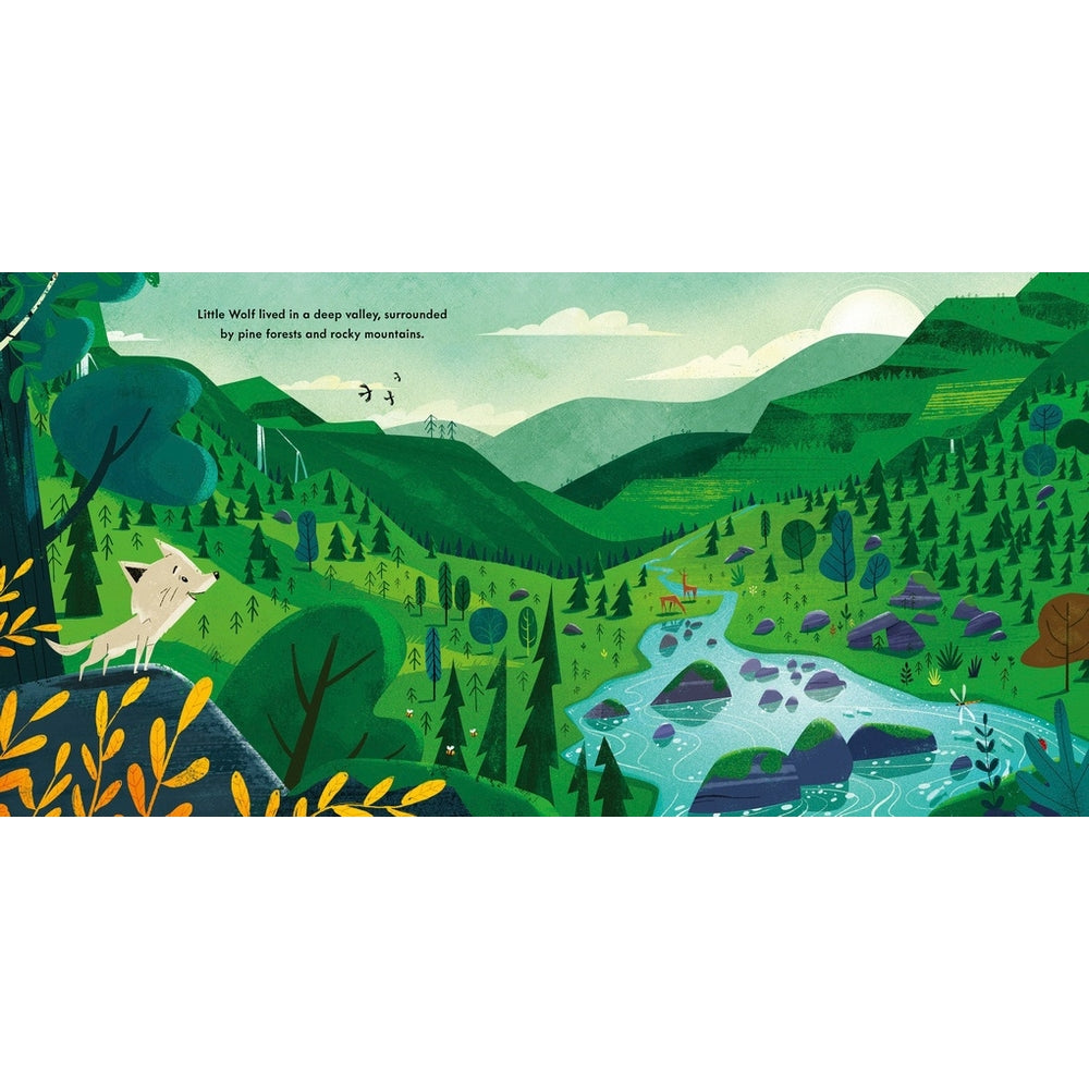 Little Wolf Picture Book By Peter Donnelly