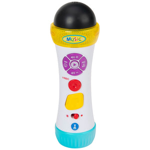 Big Steps Musical Recording Microphone