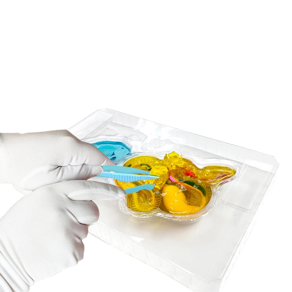 Dissect-It Anatomy Kit Mega Lab Rattlesnake And Piranha