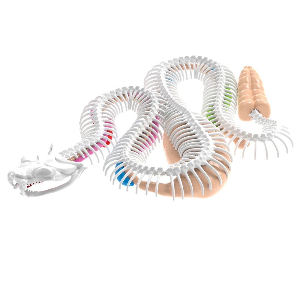 Dissect-It Anatomy Kit Mega Lab Rattlesnake And Piranha