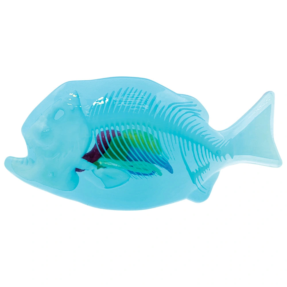 Dissect-It Anatomy Kit Mega Lab Rattlesnake And Piranha