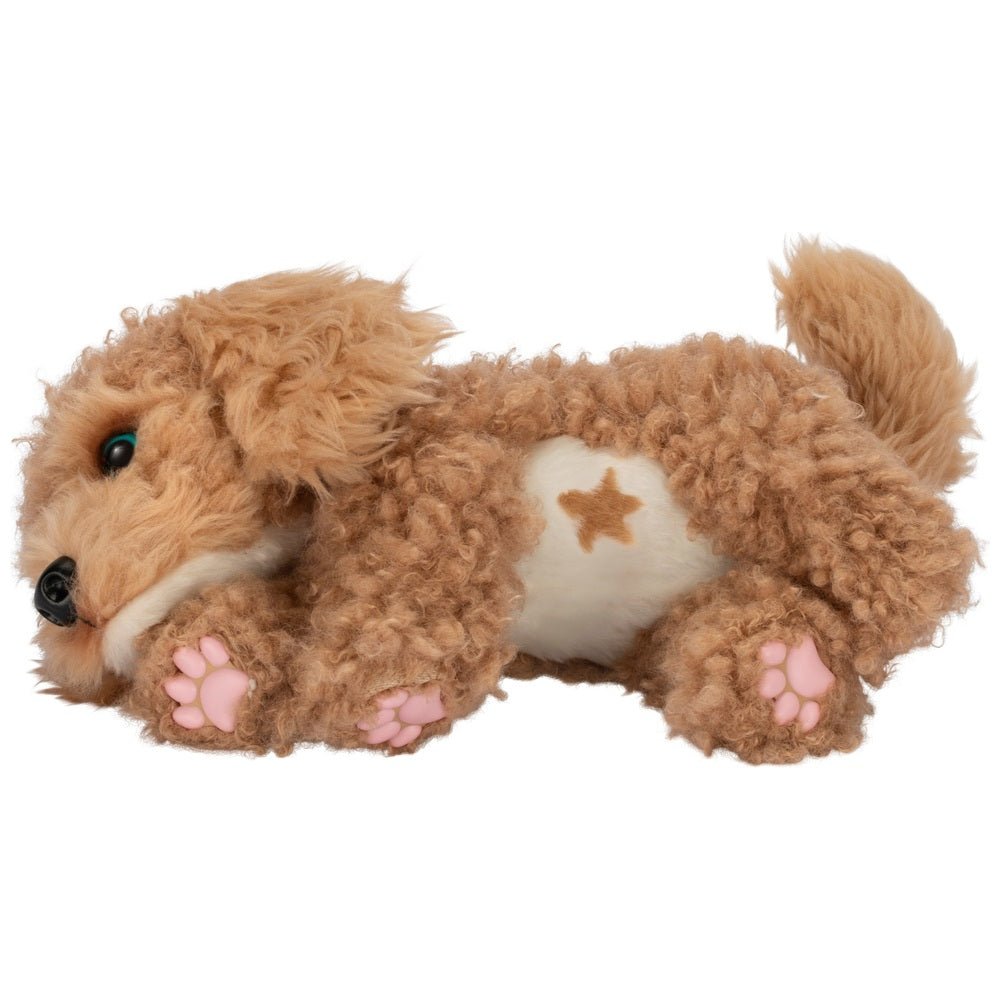 Little Live Pets My Really Real Puppy: Curley The Cavapoo