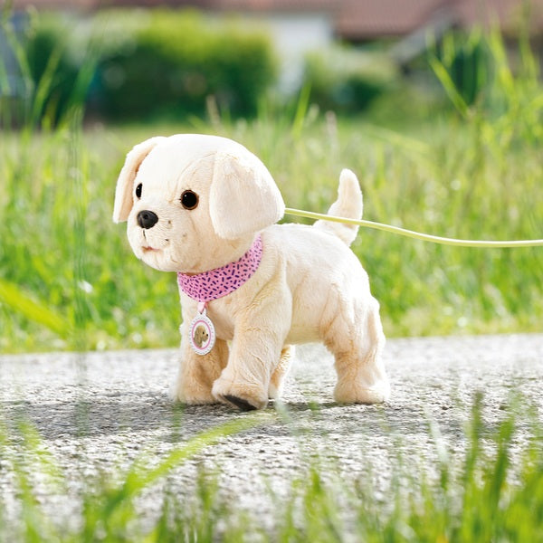 Baby Born My Lucky Dog