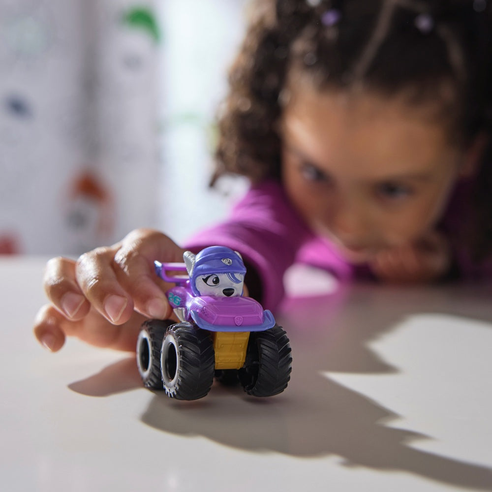 Paw Patrol: Rescue Wheels Pup Squad Racers Gift Set With Roxi