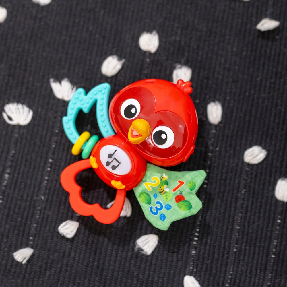Baby Einstein Roxy's Bright Flight Musical Toy
