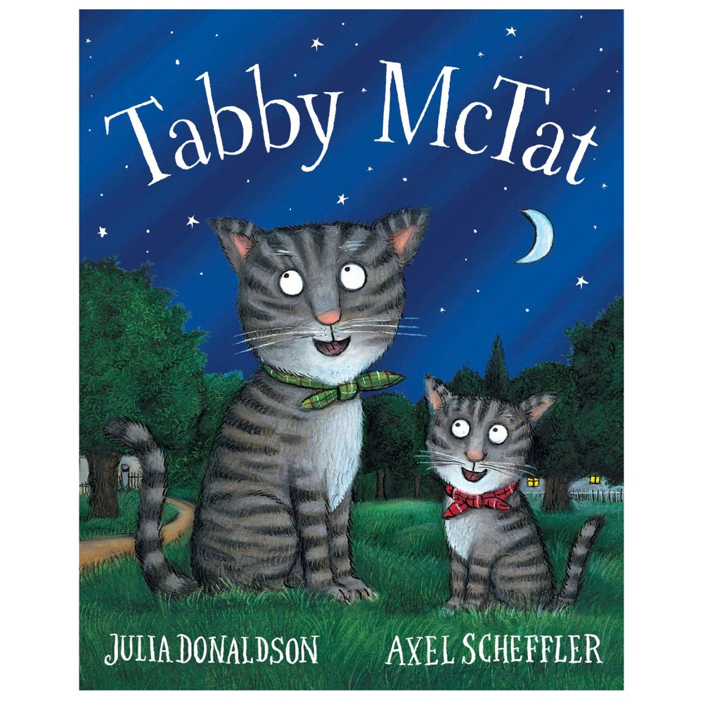 Tabby Mctat By Julia Donaldson And Axel Scheffler Paperback Book