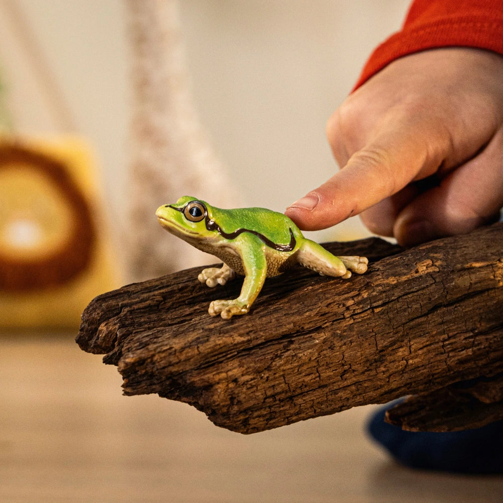 Schleich Wild Life European Tree Frog
