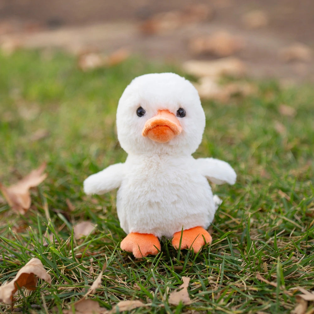 World's Softest Plush Dot The Baby Duck 25Cm
