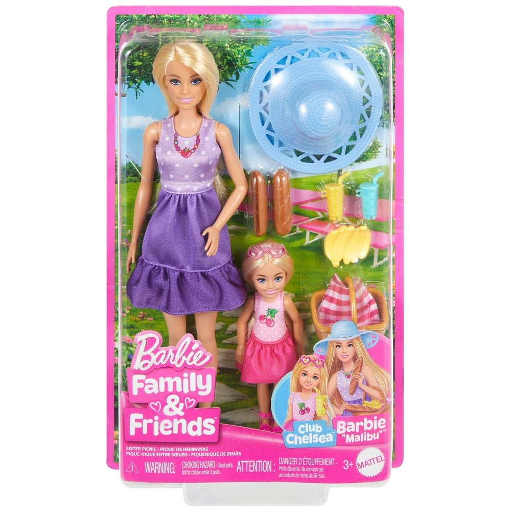 Barbie Malibu And Chelsea Doll Family & Friend 2 Pack