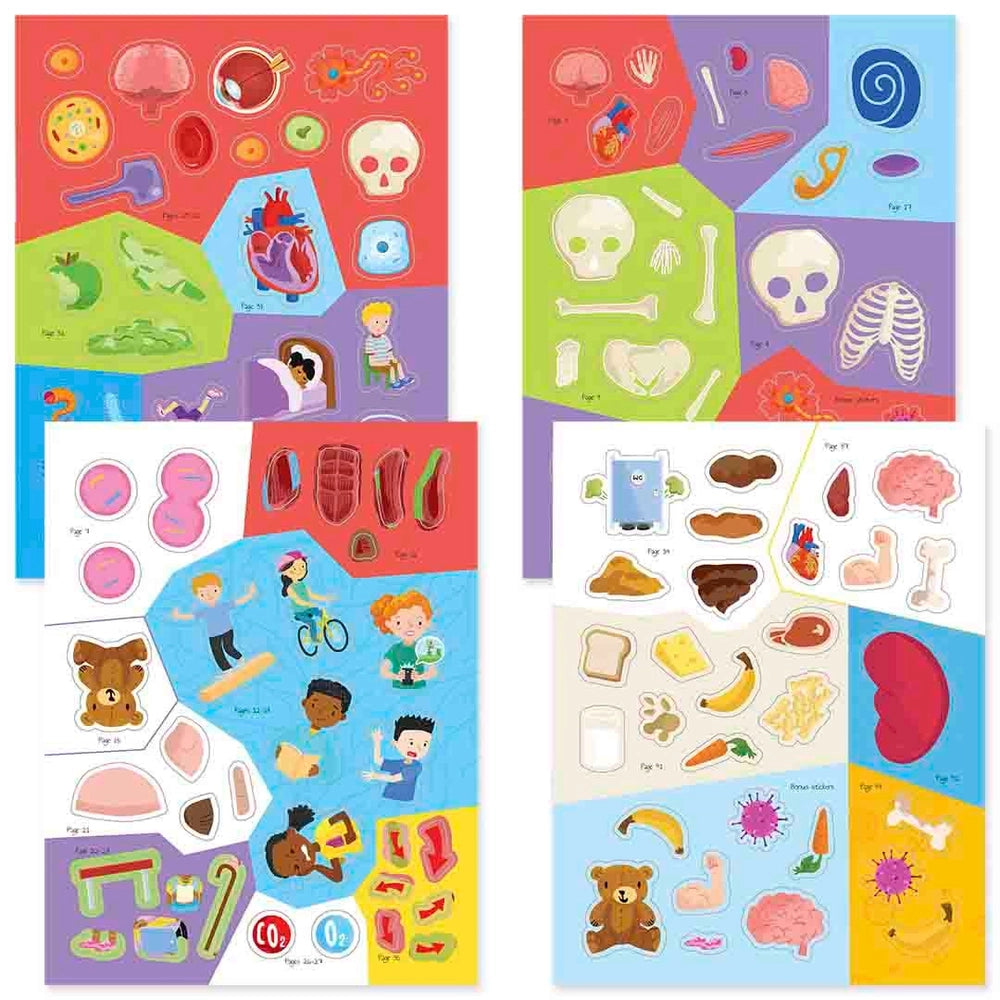 Know And Glow Human Body Sticker Activities Book