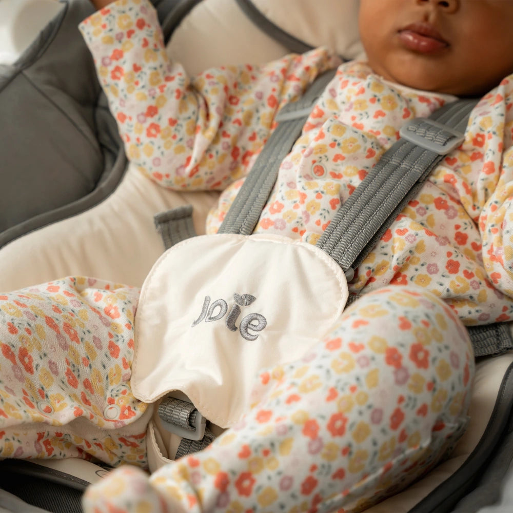 Joie Emeri 2-In-1 Baby Swing And Rocker Fern