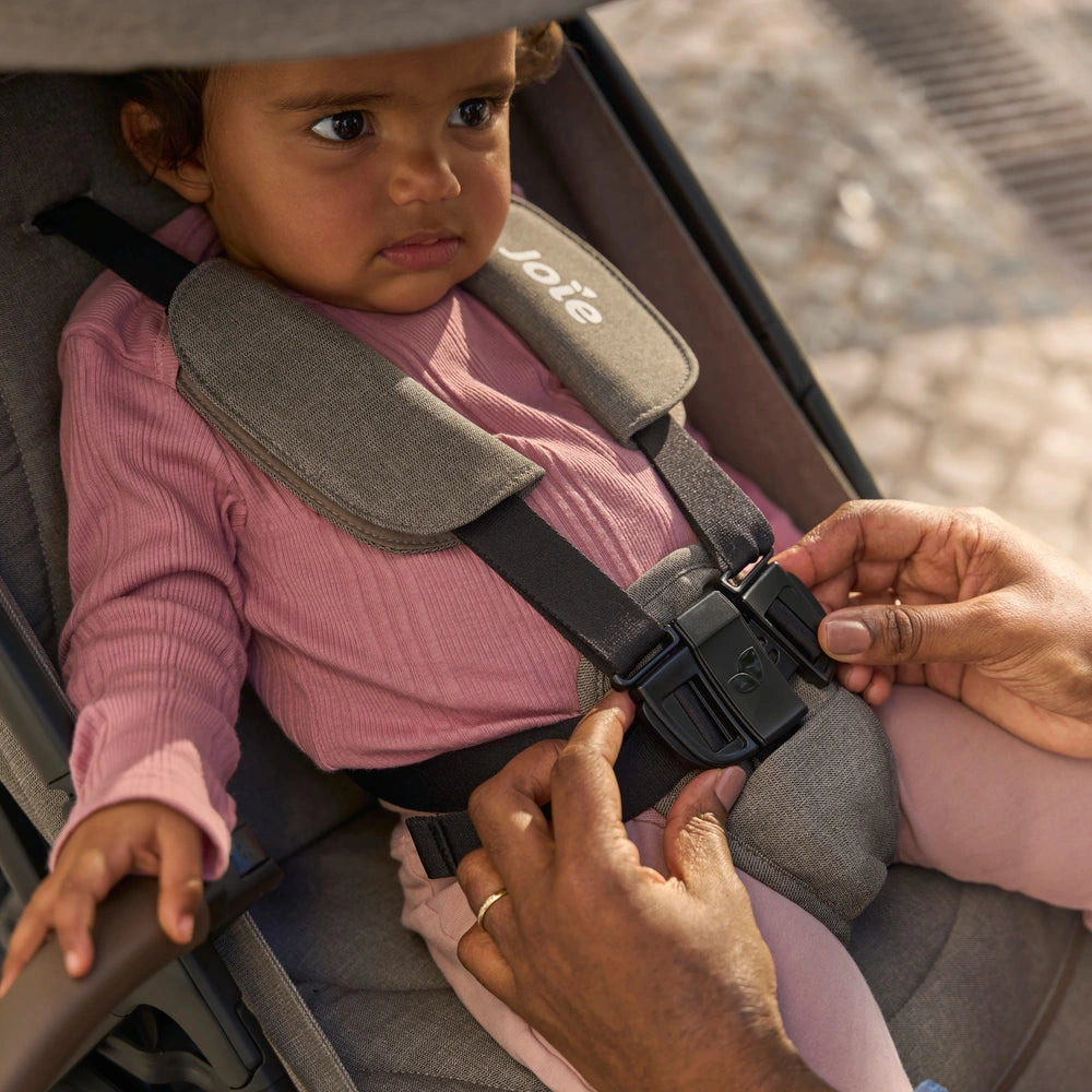 Joie Elin Compact Stroller Maple