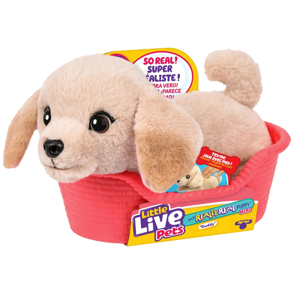 Little Live Pets My Really Real Puppy Mini Buddy The Retriever