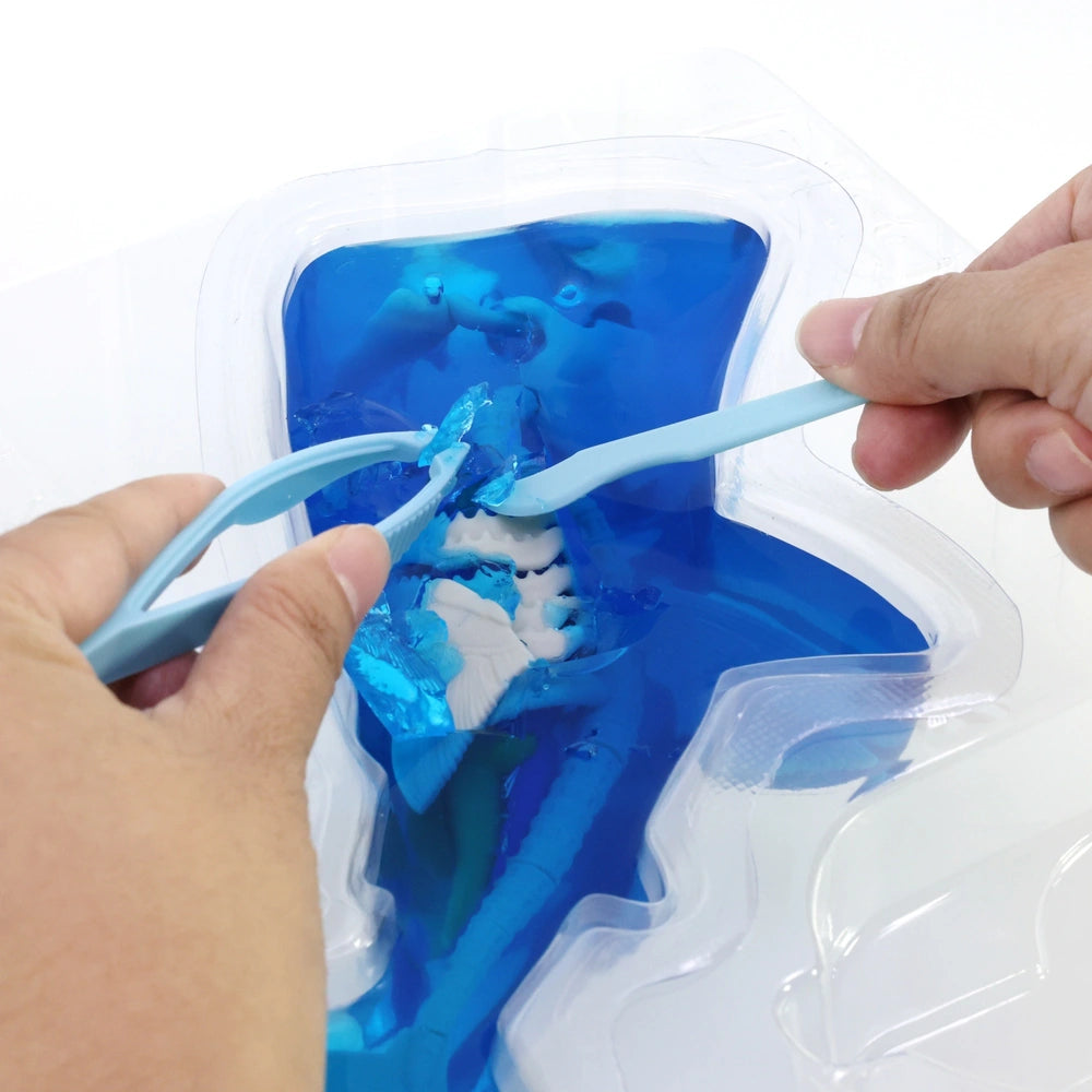 Dissect-It Shark Anatomy Super Lab Kit