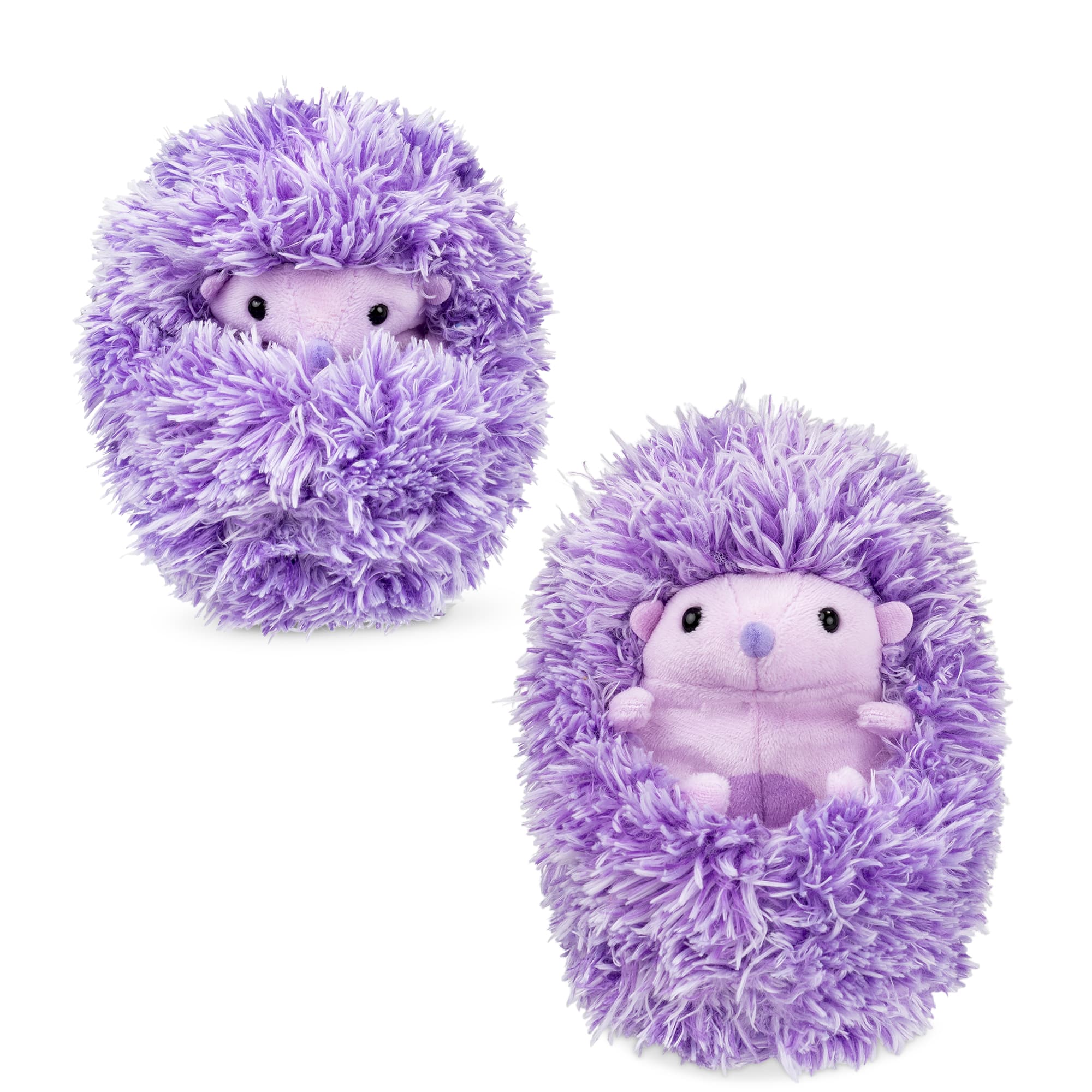 Curlimals Higgle Hedgehog