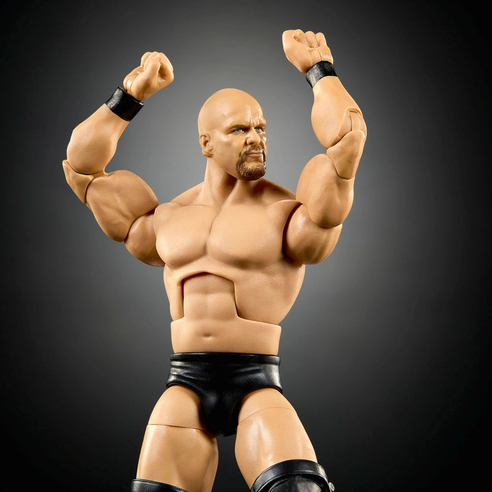 Wwe Elite Collection Summerslam Action Figure 'Stone Cold' Steve Austin