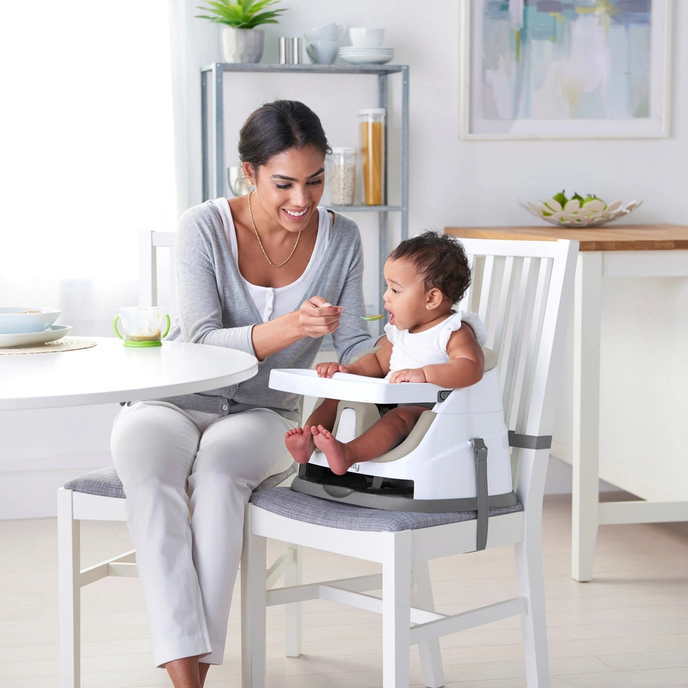 Ingenuity Baby Base 2-In-1 Seat Cashmere