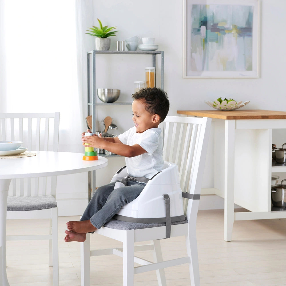 Ingenuity Baby Base 2-In-1 Seat Cashmere
