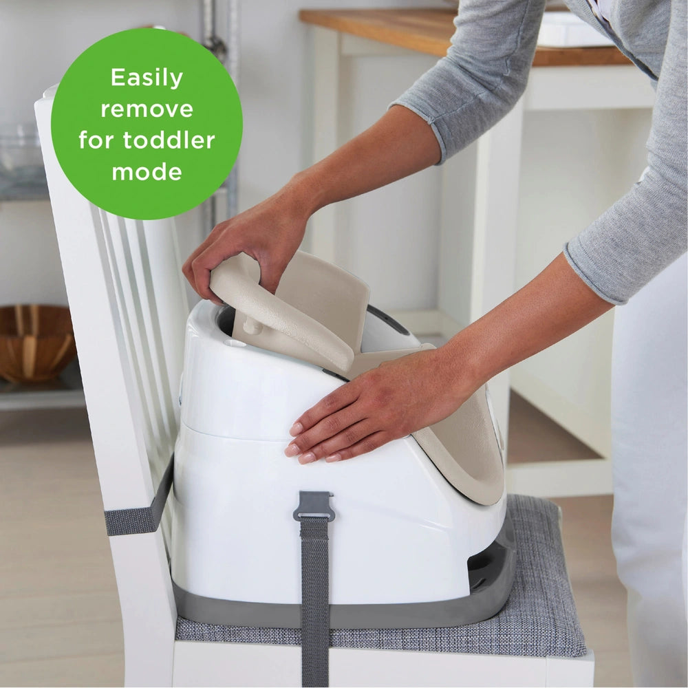 Ingenuity Baby Base 2-In-1 Seat Cashmere