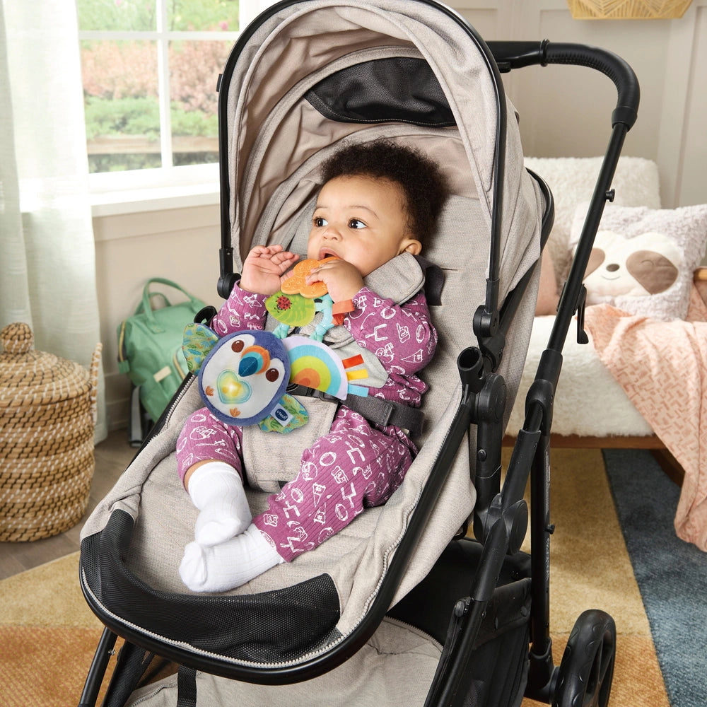 Vtech Baby Take-Along Toucan Toy