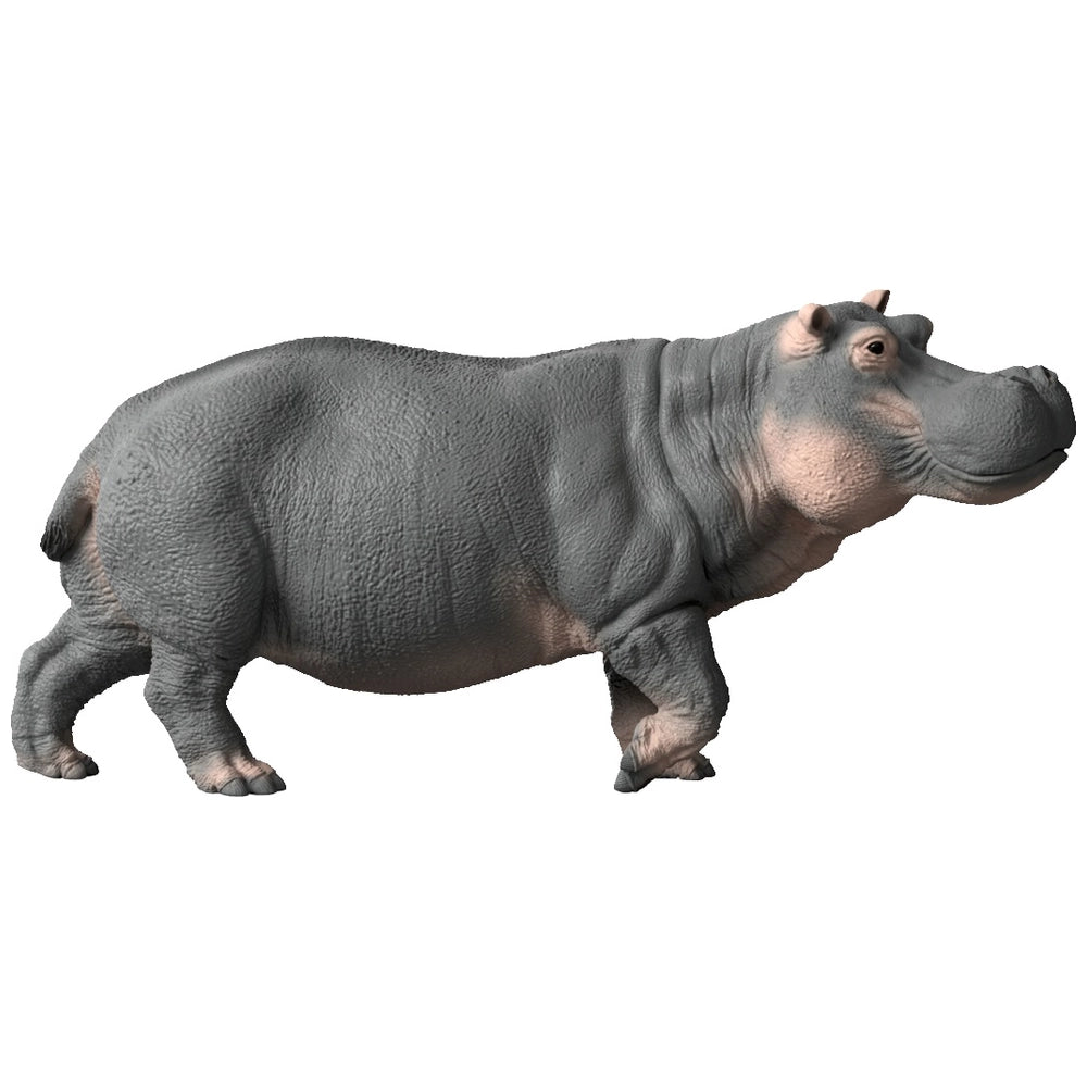 Schleich Wild Life Hippopotamus
