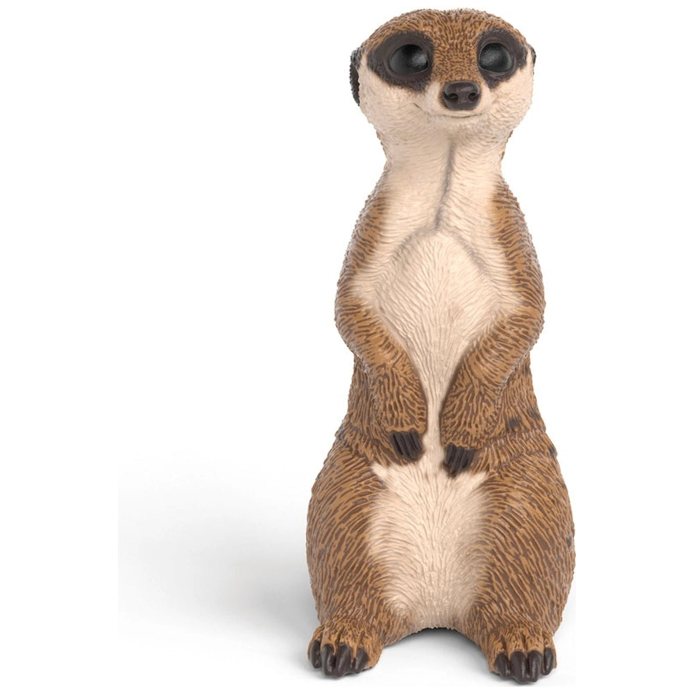 Schleich Wild Life Meerkat