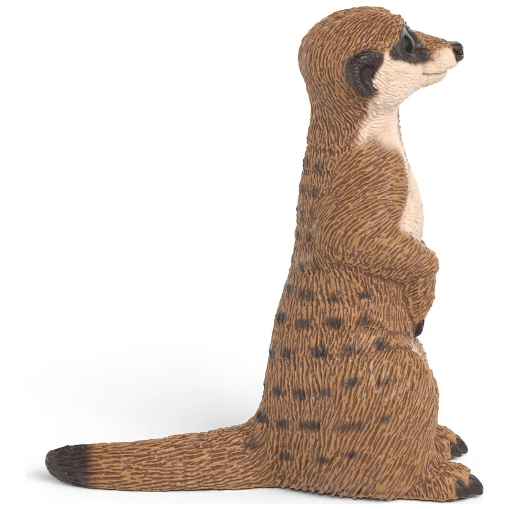 Schleich Wild Life Meerkat