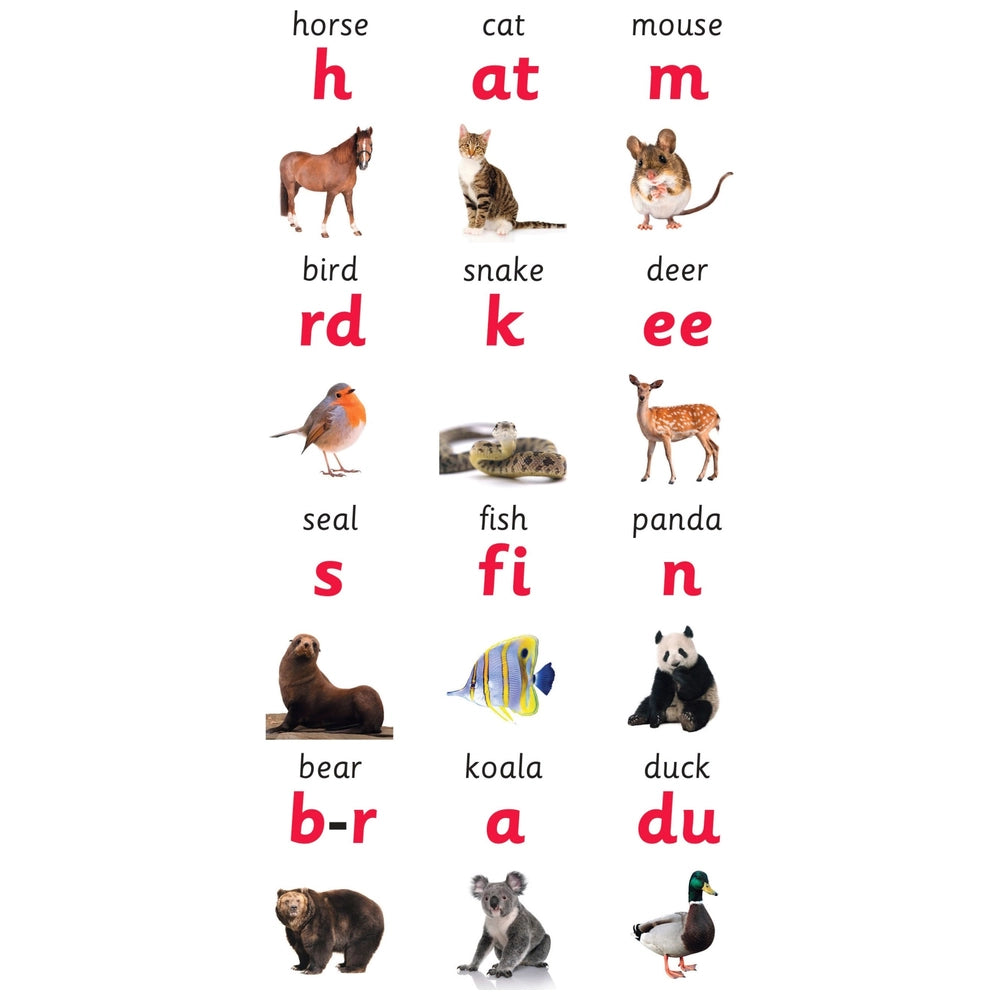 Spelling: A Pull-The-Tab Book