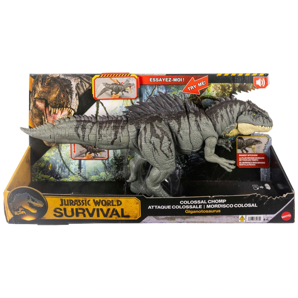 Jurassic World Colossal Chomp Dinosaur Action Figure Giganotosaurus