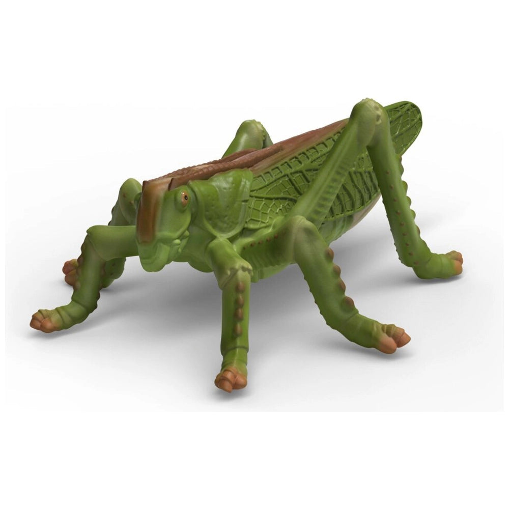 Schleich Wild Life Insects Discovery Set