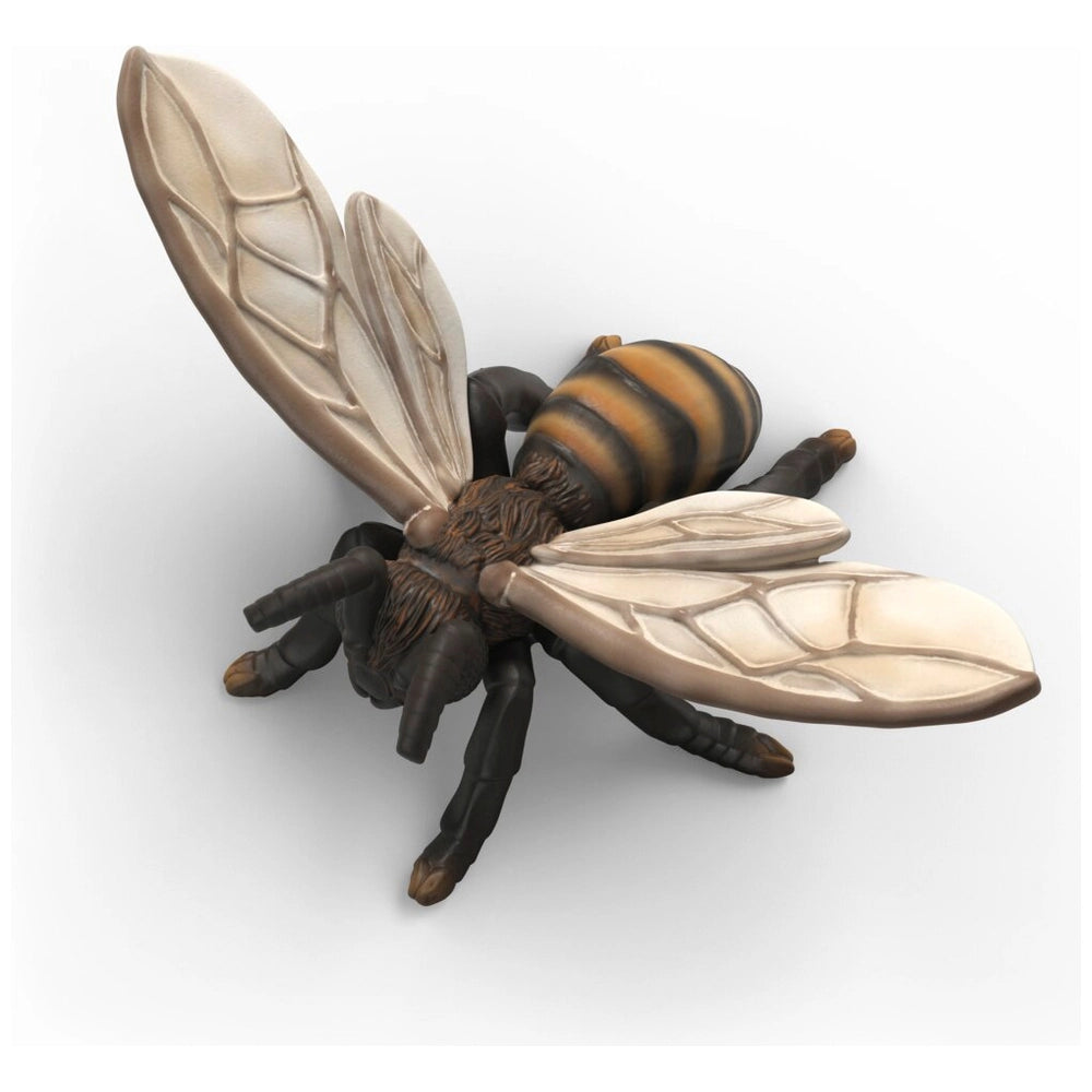 Schleich Wild Life Insects Discovery Set