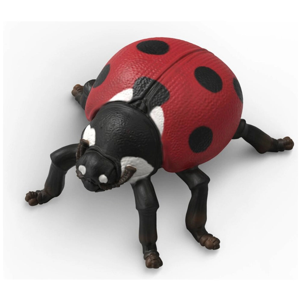 Schleich Wild Life Insects Discovery Set
