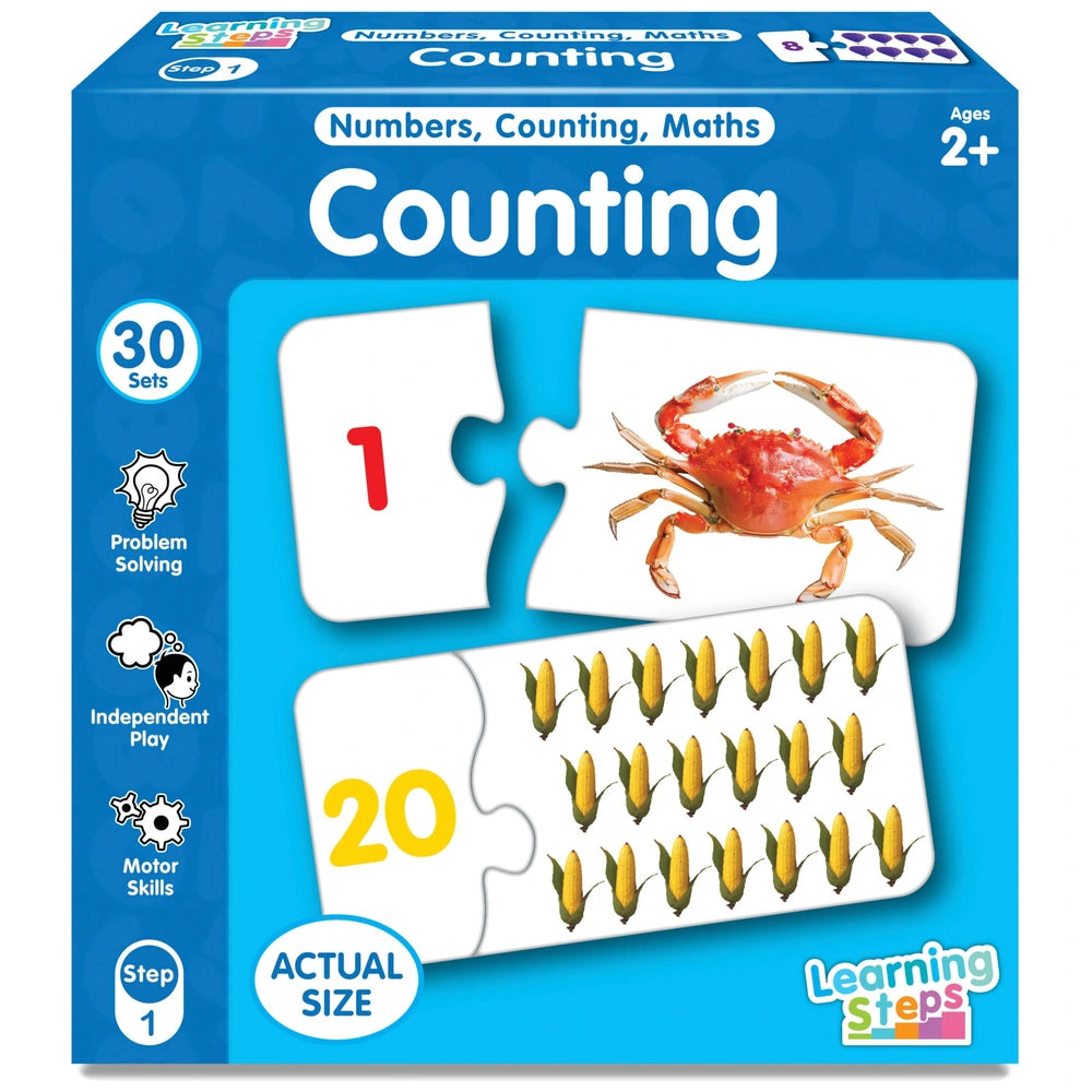Learning Steps Counting Match Puzzle