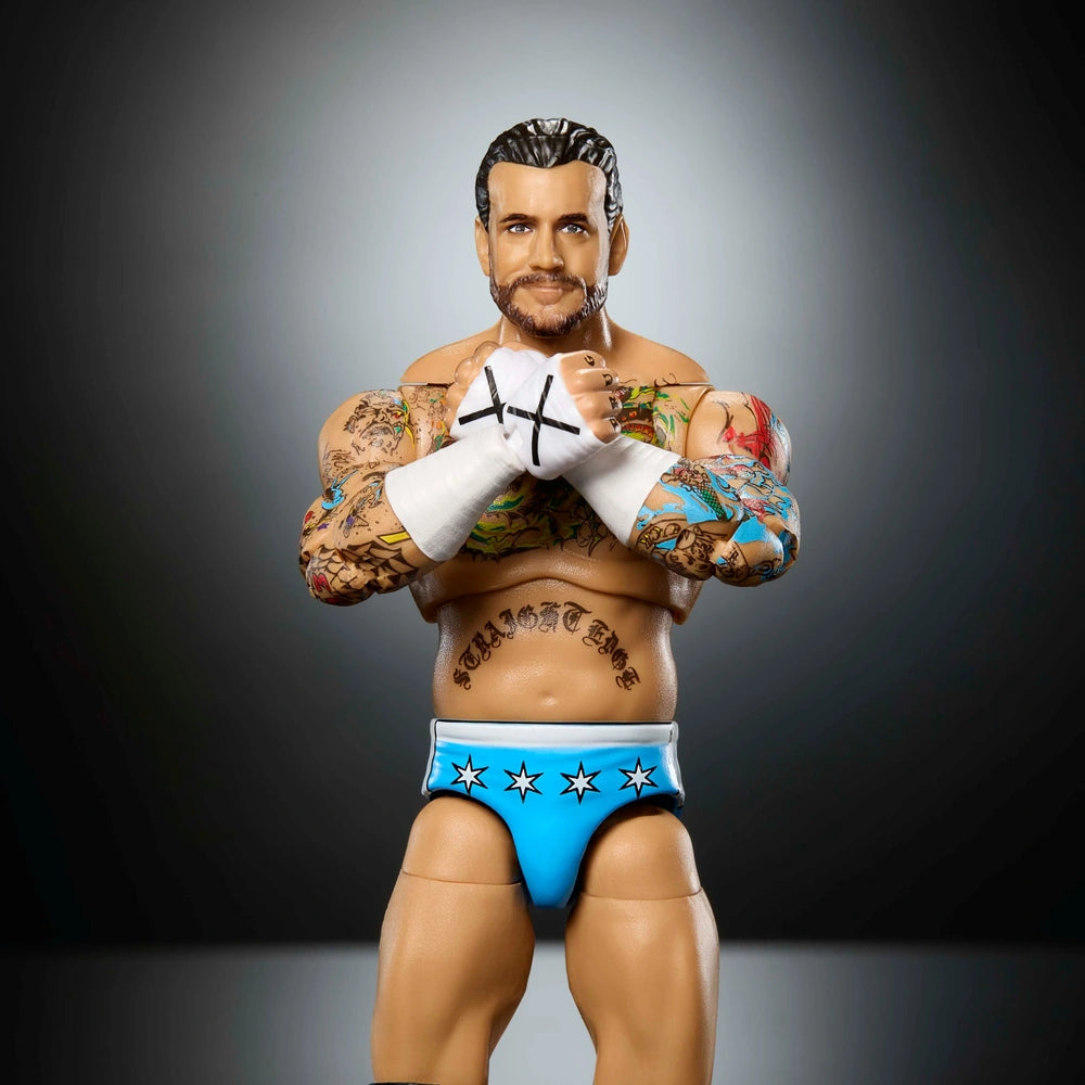 Wwe Ultimate Edition Action Figure Cm Punk