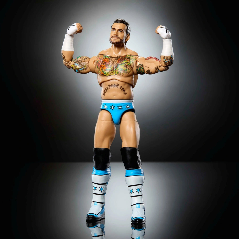 Wwe Ultimate Edition Action Figure Cm Punk