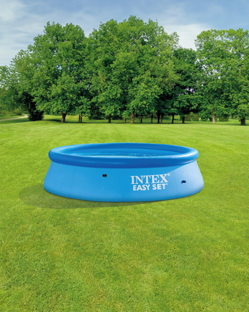 Intex 10Ft Easy Set Pool