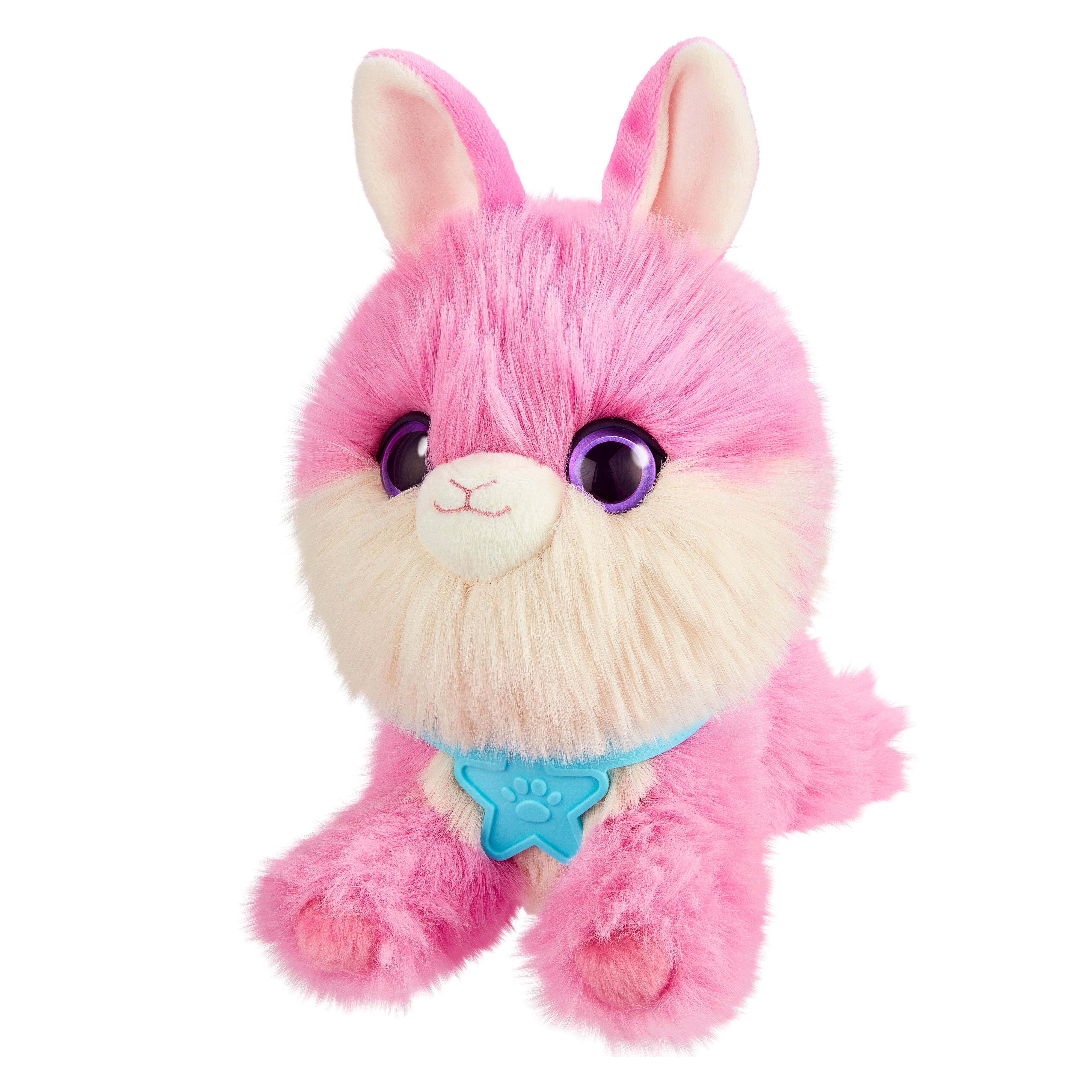 Scruffaluvs Pet Scruffs - Assorted Colors Single Pack