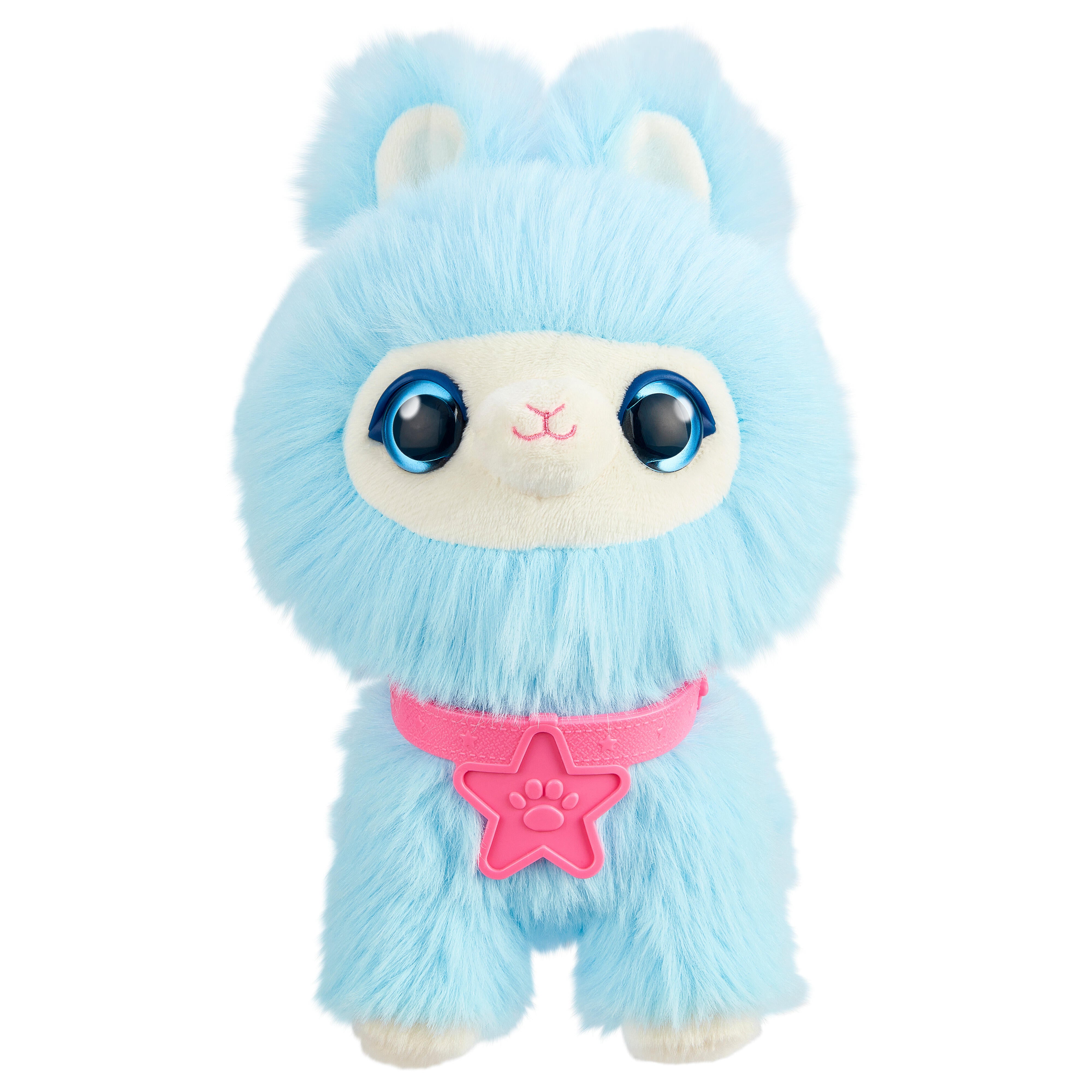 Scruffaluvs Pet Scruffs - Assorted Colors Single Pack