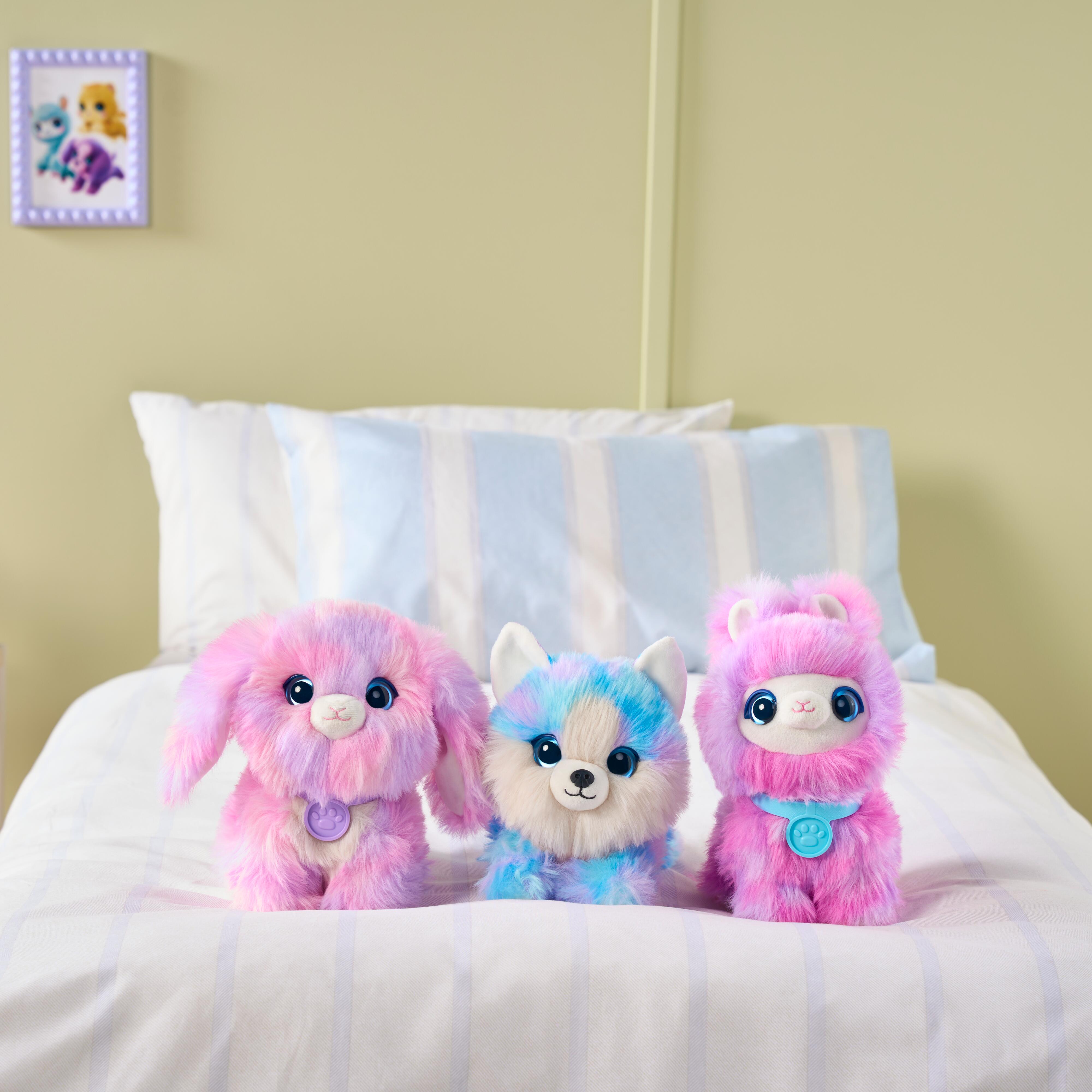 Scruffaluvs Pet Scruffs - Assorted Colors Single Pack