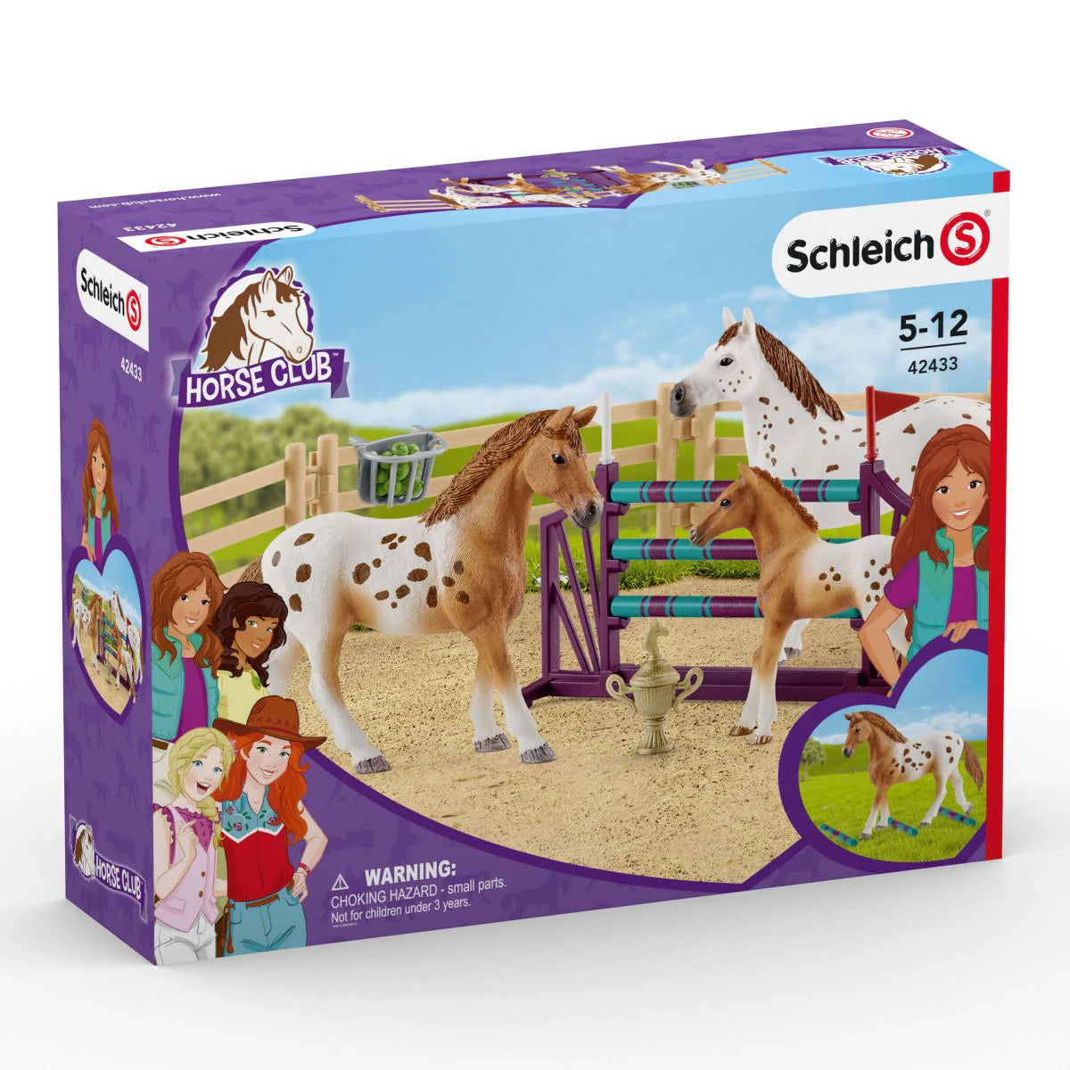Schleich Horse Club Lisa’s Tournament Training 42433