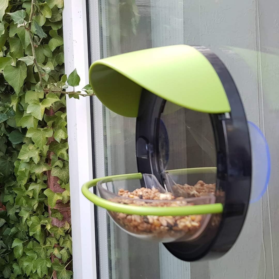 My Living World Window Bird Feeder, Multicolor