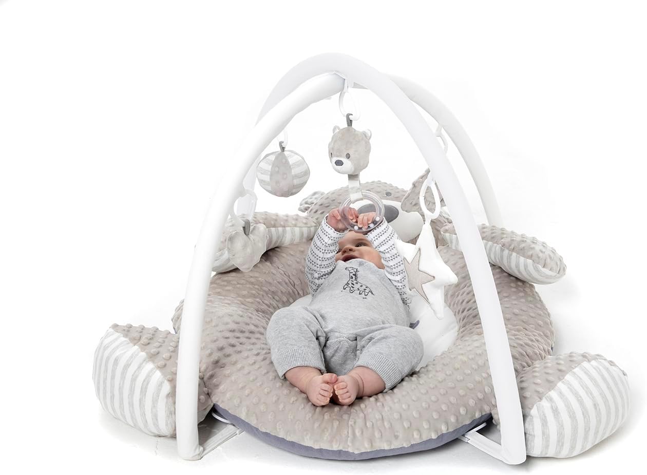 Babyzee Bear Necessities Play Gym