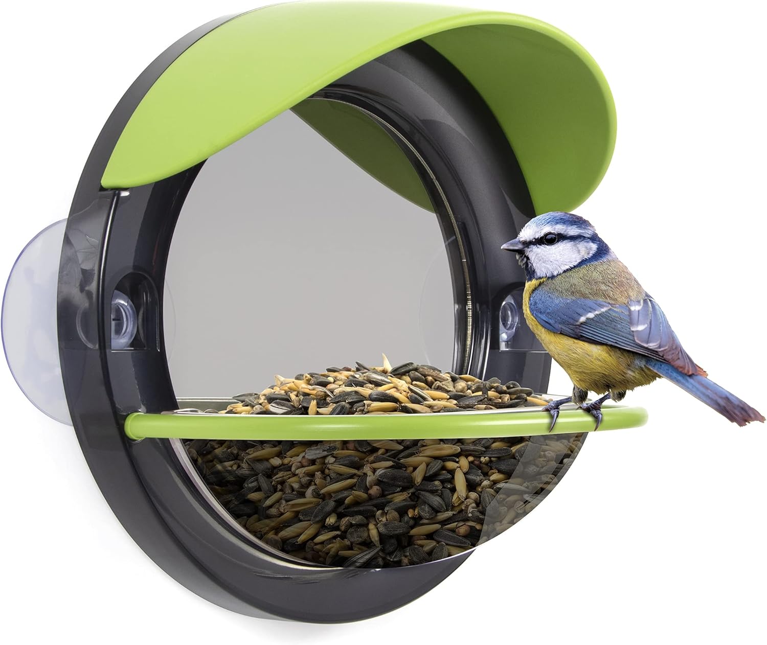 My Living World Window Bird Feeder, Multicolor