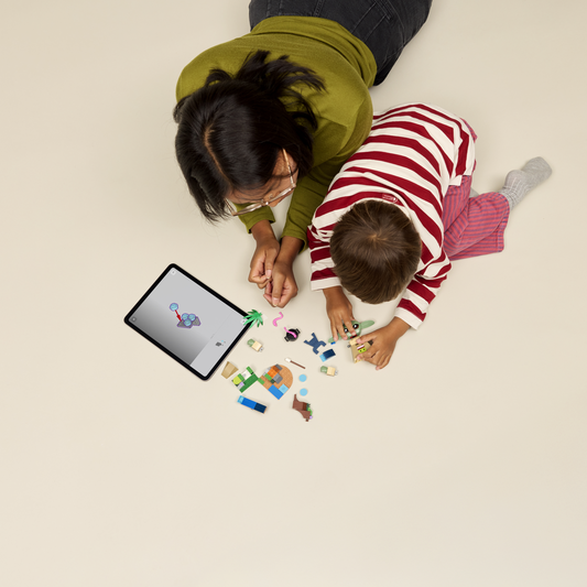 Lego® Star Wars™ Grogu’s Homestead 75443