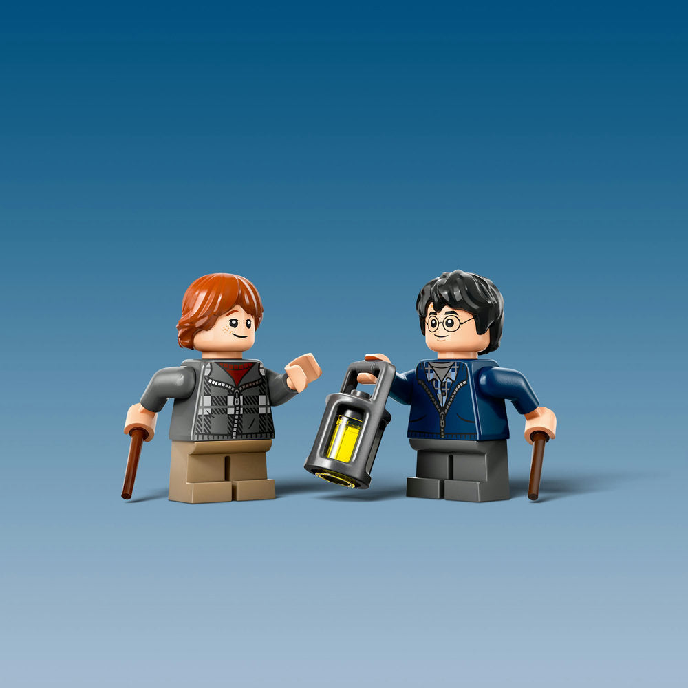 Lego® Harry Potter™ Aragog In The Forbidden Forest™ 76434