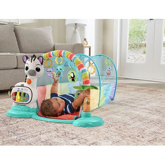 Vtech 6-In-1 Move & Grow Activity Tunnel